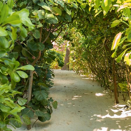 Tago Tulum By G Hotels Buitenkant foto
