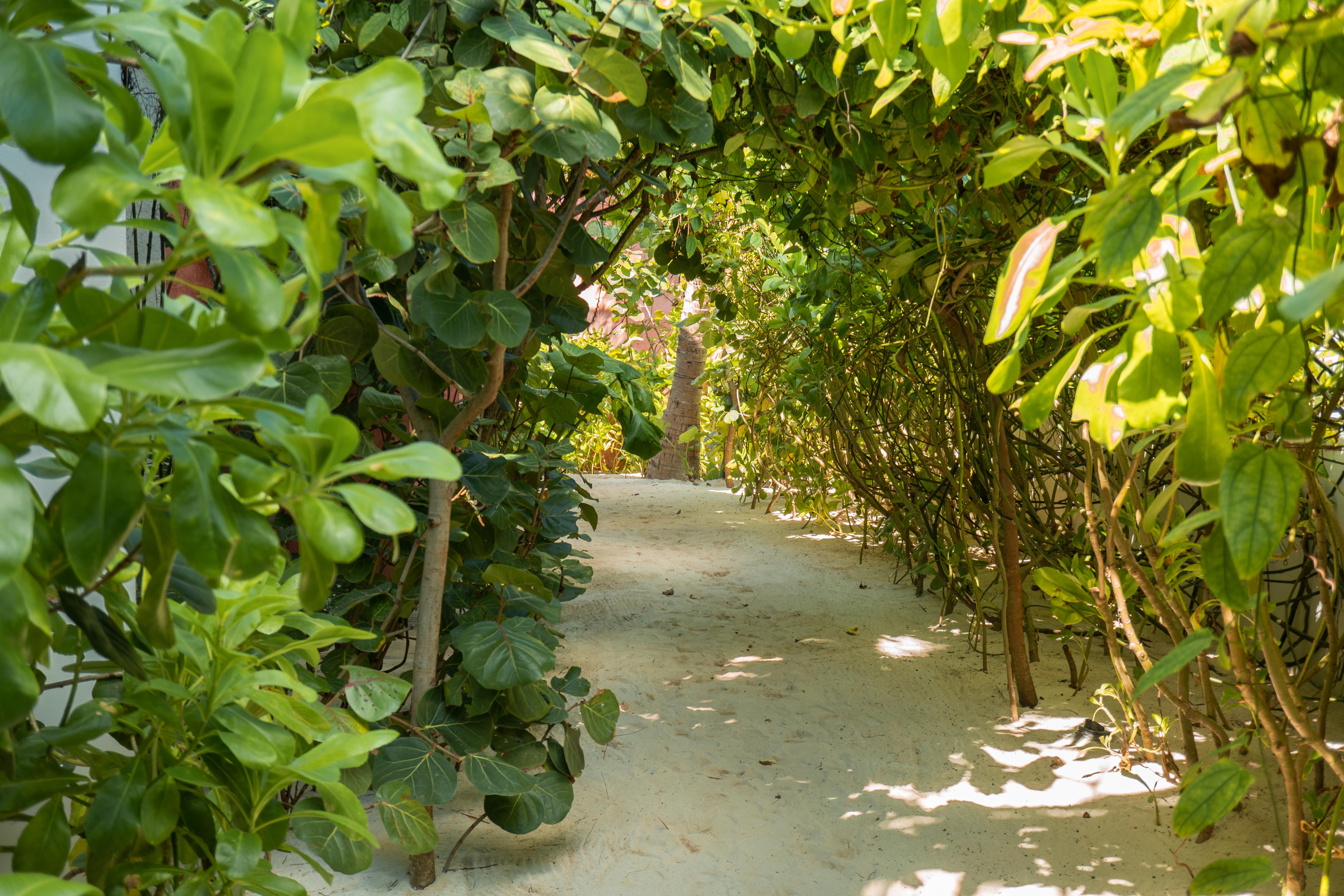 Tago Tulum By G Hotels Buitenkant foto